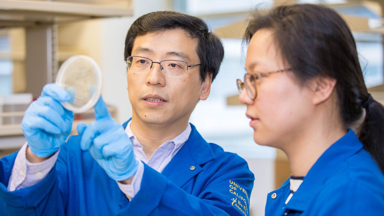 Lei Wang, PhD, associate professor of Pharmaceutical Chemistry