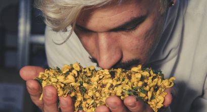 A man smelling a bundle of flowers in his hands