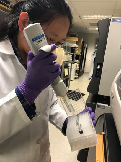 Xu working in lab.