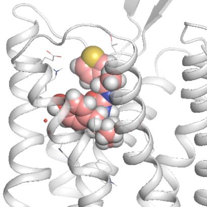 PZM21 molecule