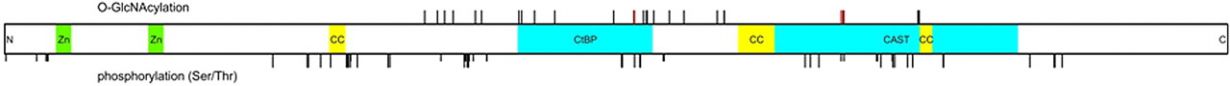 diagram.