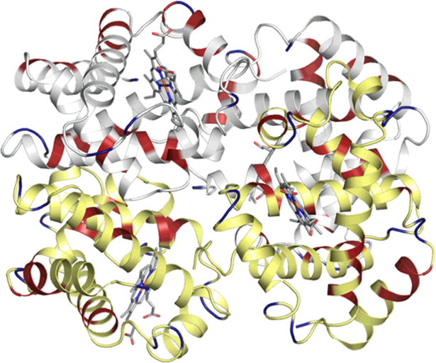 Substrate specificities of enzymes 2