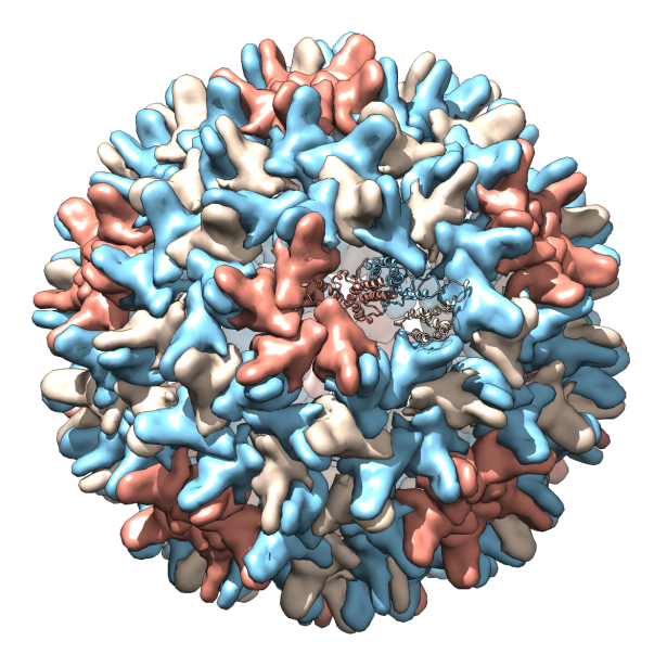 molecule