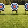archery targets on a lawn