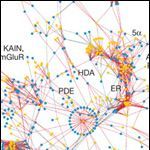 drug target network diagram.