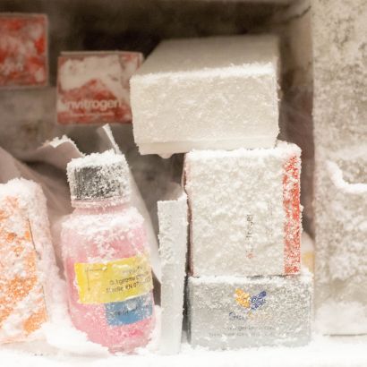 Laboratory bottles and boxes covered in frost in a freezer