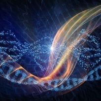stylized DNA strand