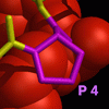 detail of DNA binding protein