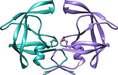 HIV1 protease enzyme