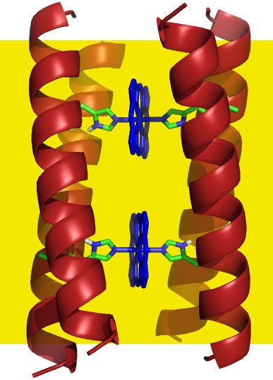 De Novo Design Of Catalytic And Membrane Proteins · Department Of ...