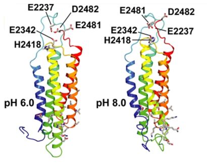 allosteric binding