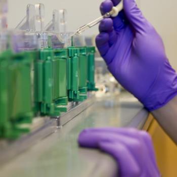 Gloved hands in lab