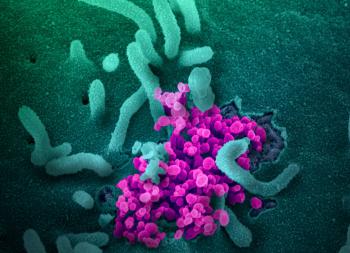 Viral particles and cells