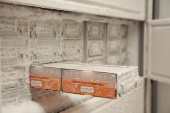 The inside of a freezer.